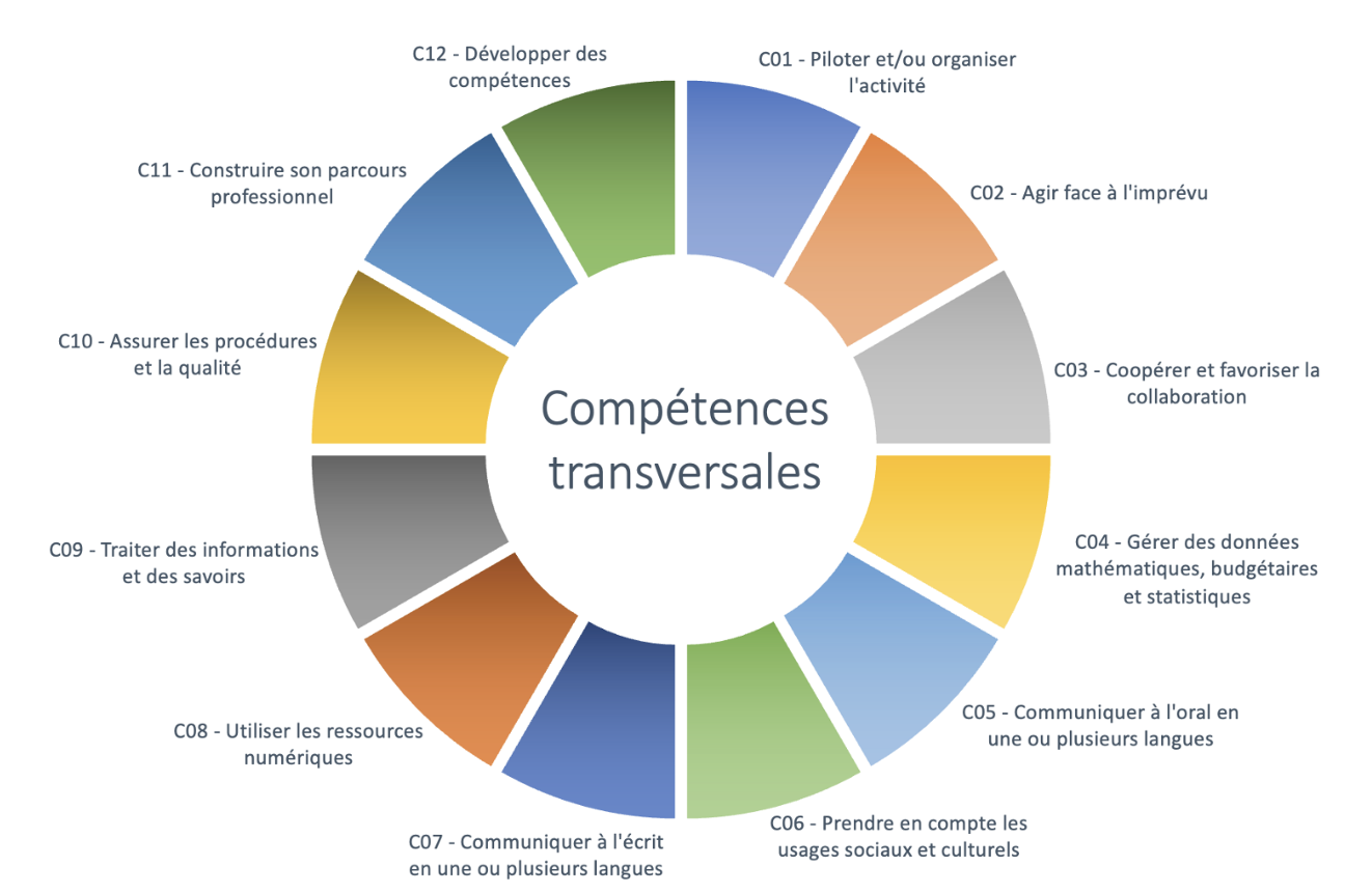 sens-et-competences-rectec-8f946694 image sens-et-competences-rectec-8f946694 Méthodogie 2 IDEE